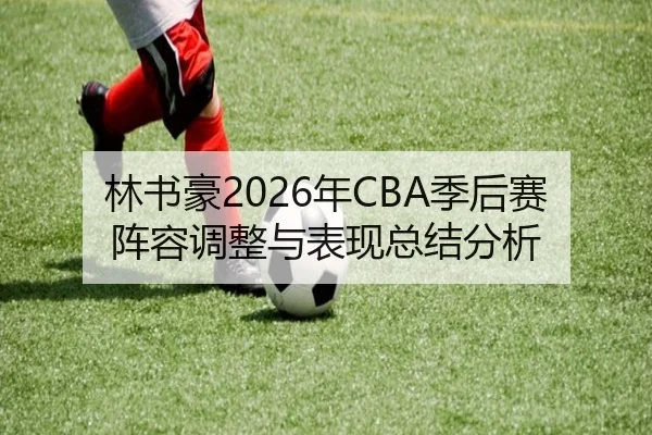 林书豪2026年CBA季后赛阵容调整与表现总结分析